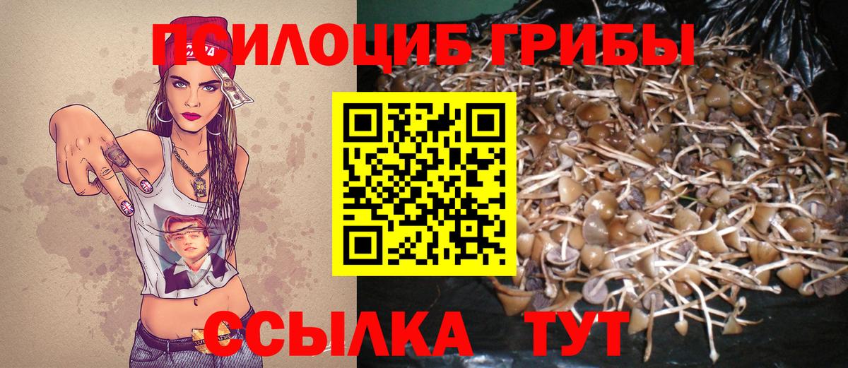 Миллерово  Галлюциногенные грибы MAGIC MUSHROOMS  Вход с VPN 